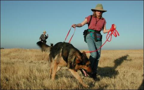 Photo of Deborah Smith with Rio, a dog specially trained for scat detection