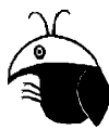 Zuni drawing of a beetle
