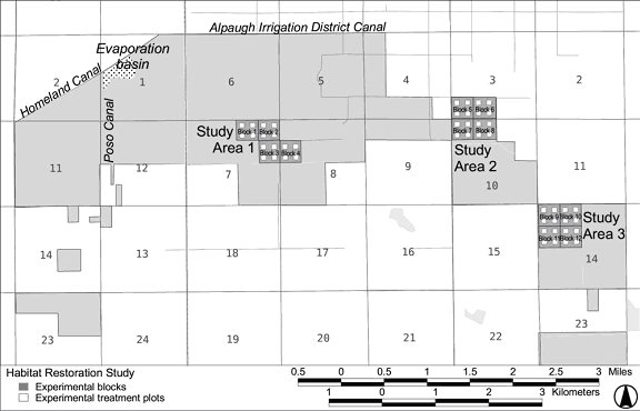 Map showing the plot layout