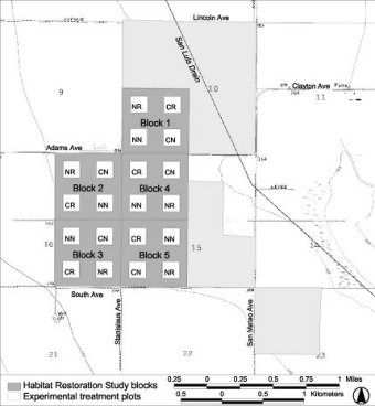 Map showing the location and configuation of the Tranquillity HRS site