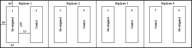 Figure showing the layout of the plots in this trial