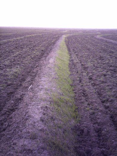 Photo showing curvilinear berms.