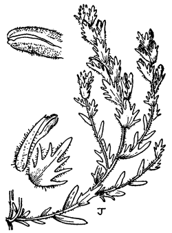 Figure 07
