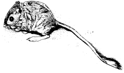 Figure 42