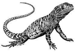 Figure 48