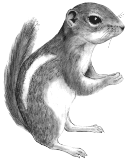 Figure 56